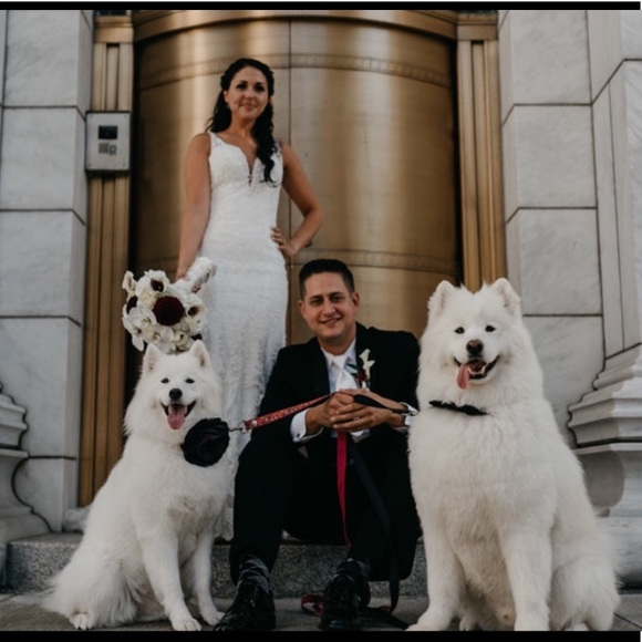 Meet your Posher, Ashton - Picture 1 of 1